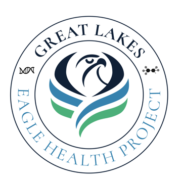 Great Lakes Eagle Health